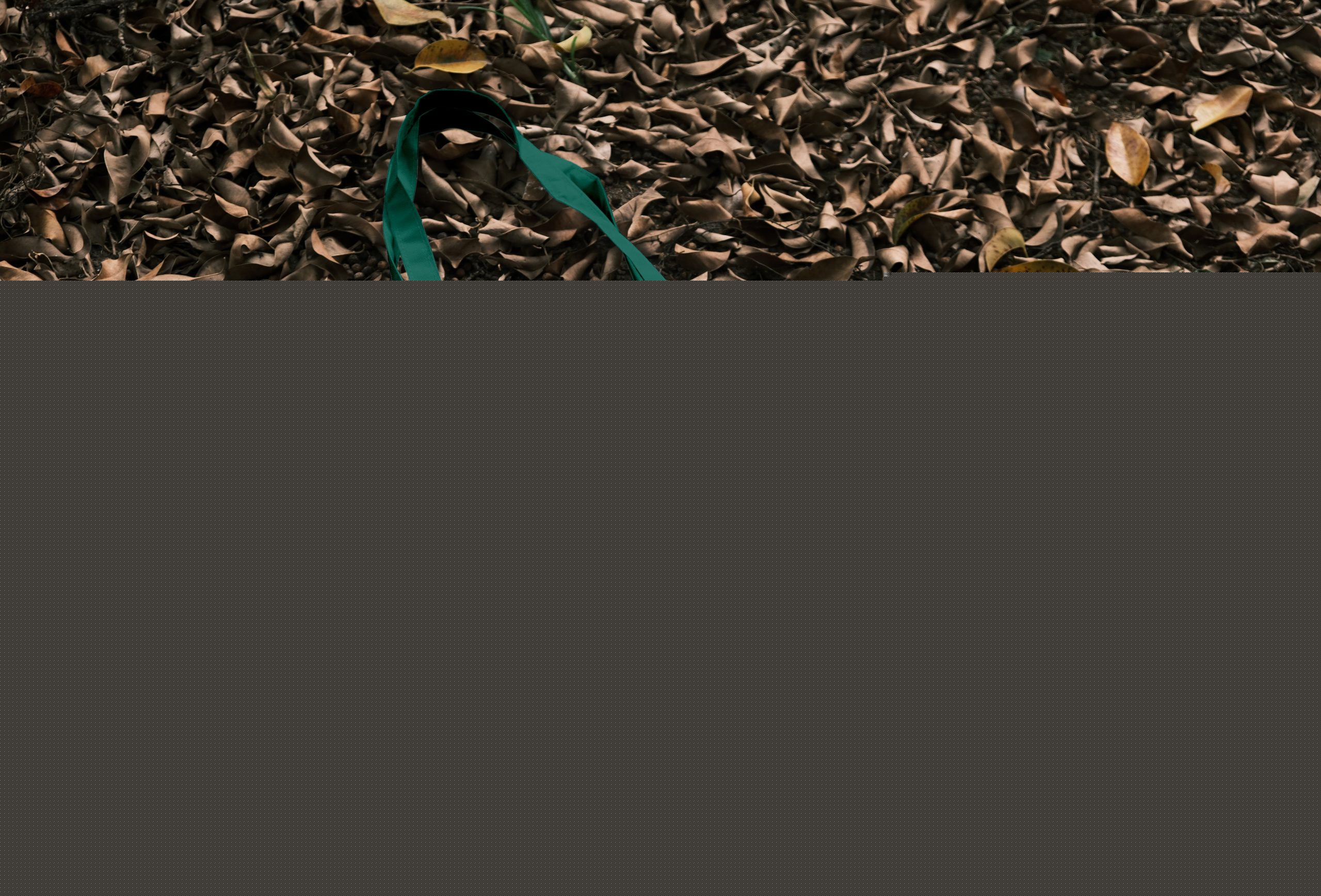 Aplicación de marca